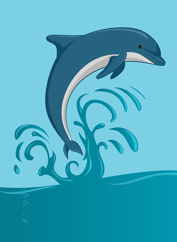 Dolphin