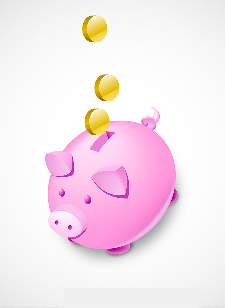 Piggy Bank and Coins