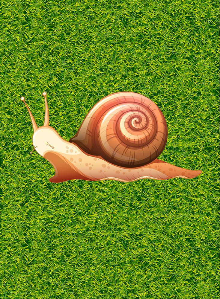 Snail in the Grass